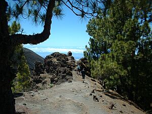 Belfir - La Palma